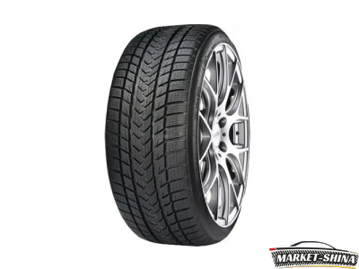 Gripmax SureGrip Pro Winter 255/40 R19 100V