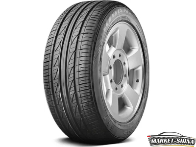 Rydanz Reac R05 205/55 R16 94V