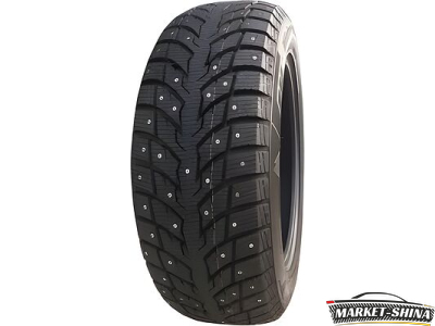 Autogreen WS1 225/65 R17 102T