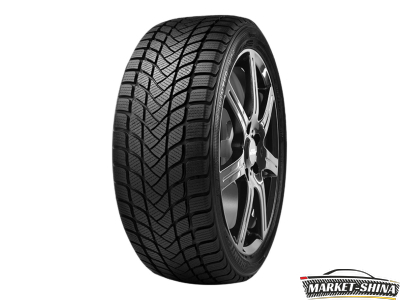 Delinte Winter WD6 175/70 R14 88T