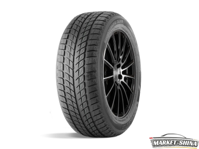 Double Star DW09 275/40 R20 106V